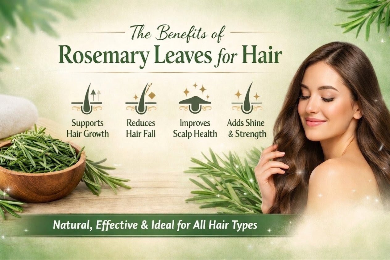 Rosemary Leaves for Hair Growth: A Powerful Herb for Scalp & Hair Health